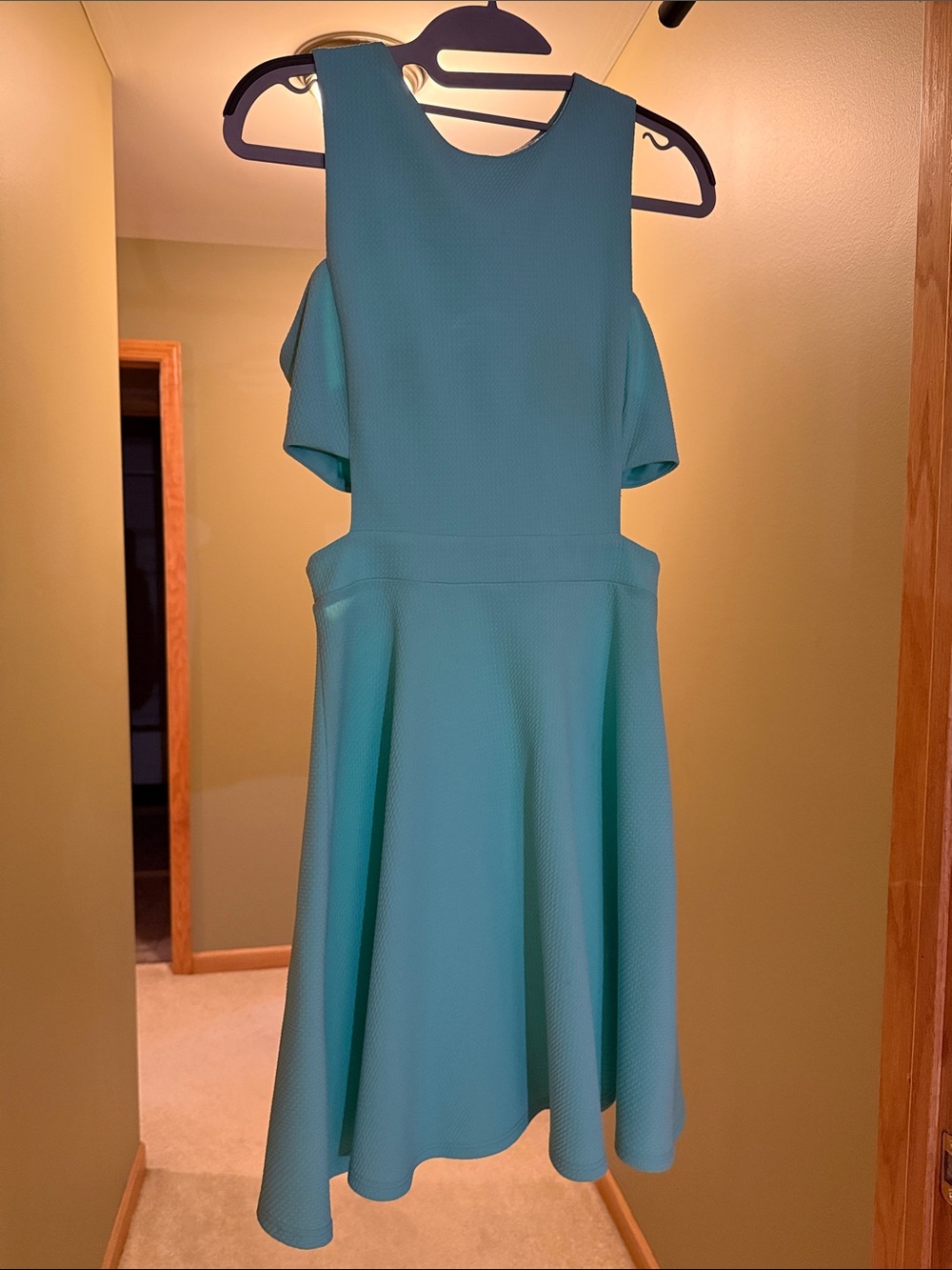 Soprano Mint Green Textured Fit-and-Flare Mini Dress
